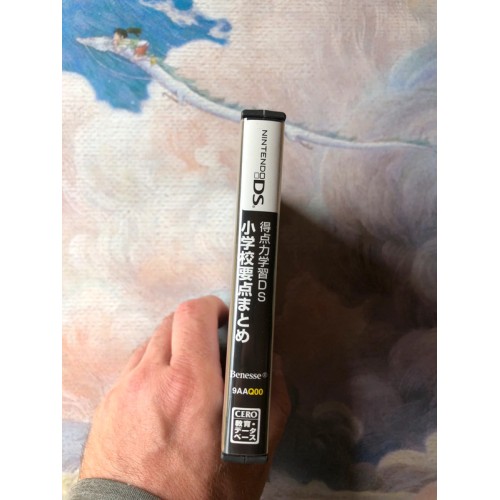 Tokutenryoku Gakushuu DS Shougakkou - DS