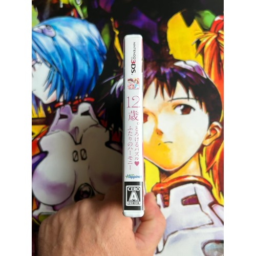 12 Sai : Torokeru Puzzle Futari no Harmony - 3DS