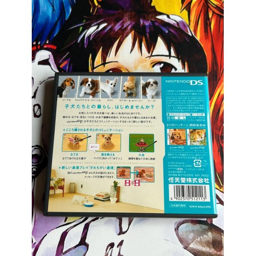 Chihuahua & Friends - DS