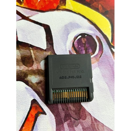 Chihuahua & Friends - DS