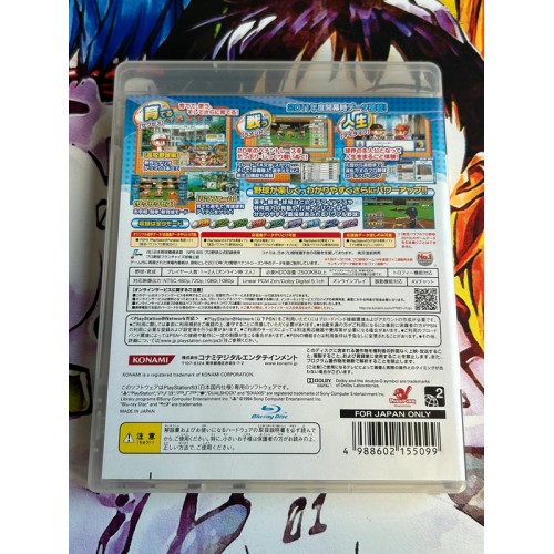 Jikkyou Powerful Pro Yakyuu 2011 - PS3