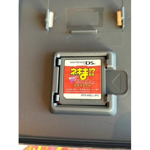 Negima!?: Chou Mahora Taisen Kattoiin, Keiyaku Shikkou Dechai masuu - DS