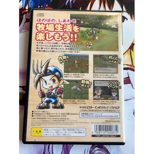 Harvest Moon: Save the Homeland - PS2