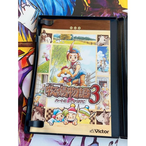 Harvest Moon: Save the Homeland - PS2