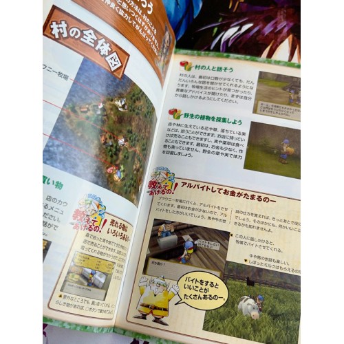 Harvest Moon: Save the Homeland - PS2