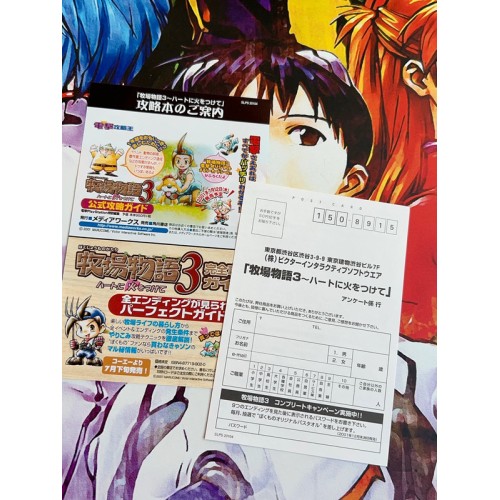 Harvest Moon: Save the Homeland - PS2