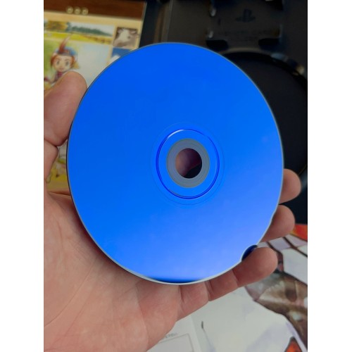 Harvest Moon: Save the Homeland - PS2