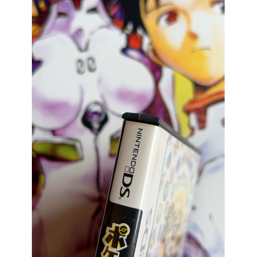 Pokemon Torouze - DS