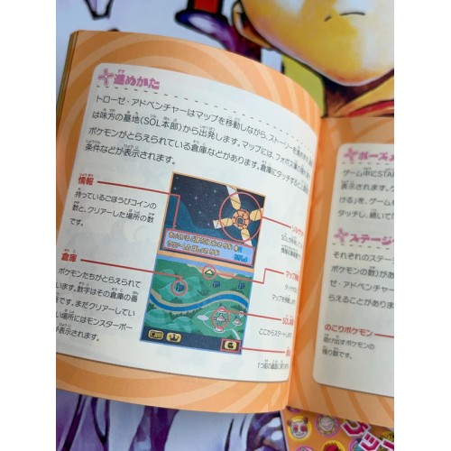 Pokemon Torouze - DS