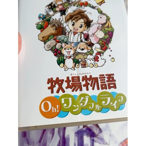 Harvest Moon : A Wonderful Life Special Edition - PS2