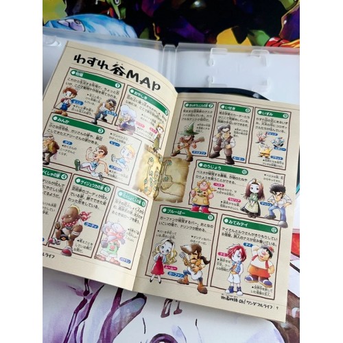 Harvest Moon : A Wonderful Life Special Edition - PS2