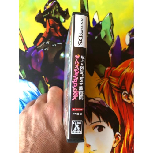 Gokujou!! Mecha Mote Iinchou: Girls Motekawa Box - DS