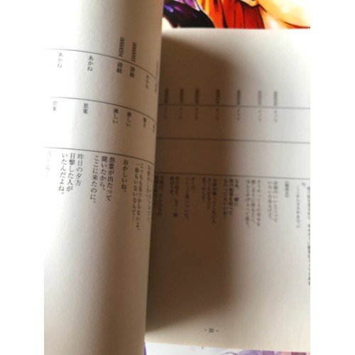 Harukanaru Toki no Naka de: Yumenoukihashi Edition Limitée - DS