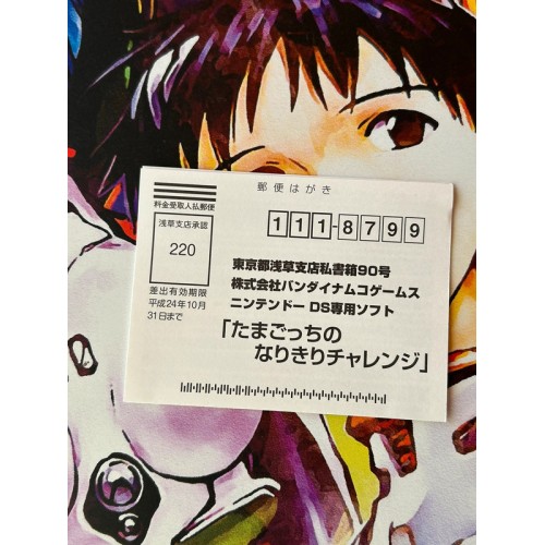 Tamagotchi no Narikiri Challenge - DS